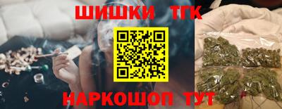 индика Можайск