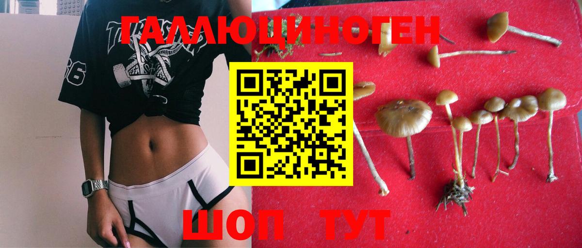 Галлюциногенные грибы мухоморы Углич